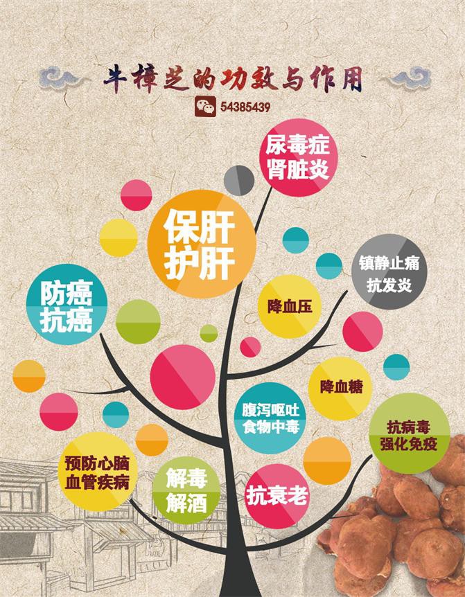 20180910173528417 20180910173528417